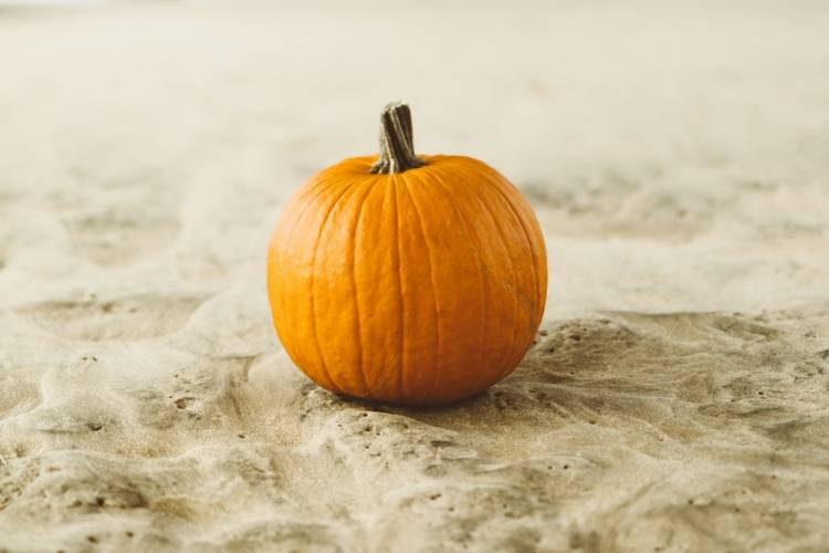 Pumpkin sitting in the sand under a pier