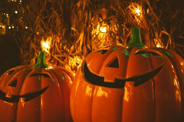 Pumpkins and lights on a field