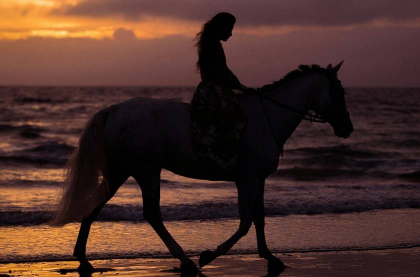 Woman riding horse on the beach